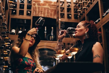 Istanbul: Wineries Tour with a Private Sommelier