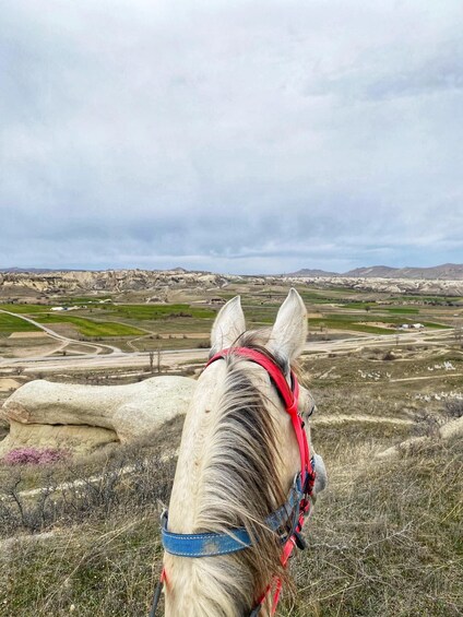 Picture 1 for Activity Cappadocia: Horseback Riding Adventure Tour