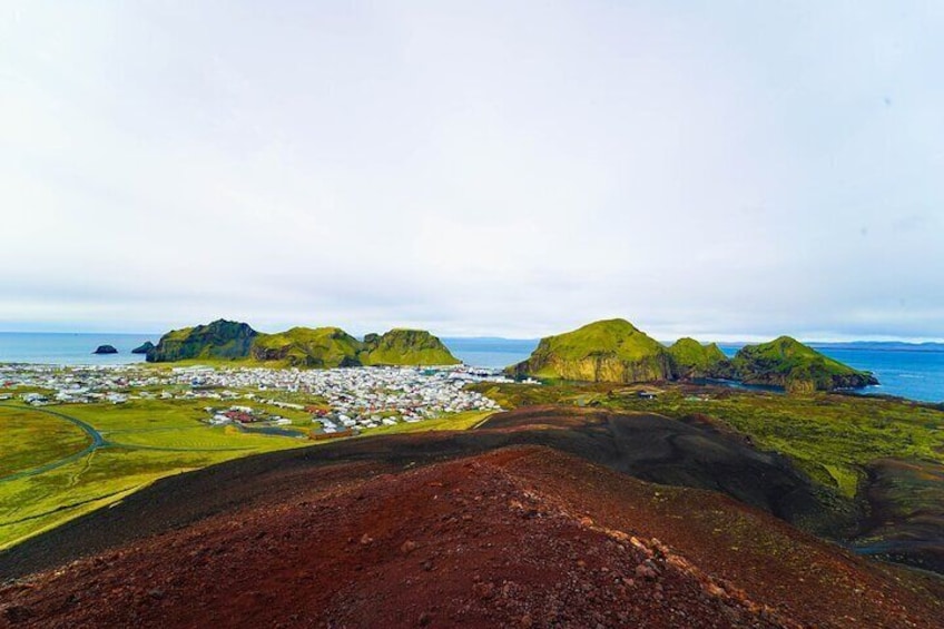 Vestmannaeyjar private day tour