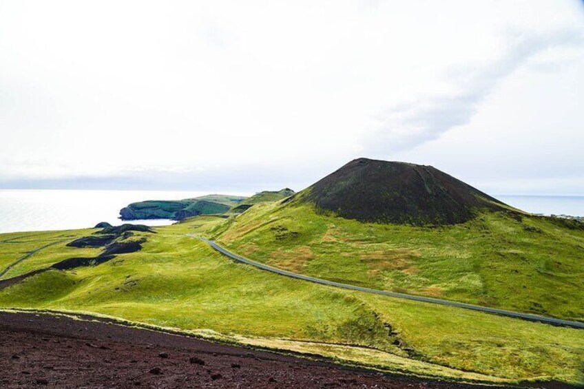 Vestmannaeyjar private day tour