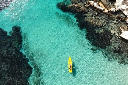 Golfo Aranci: Kayak tour with aperitif&dolphin sighting (max 9 Pax)