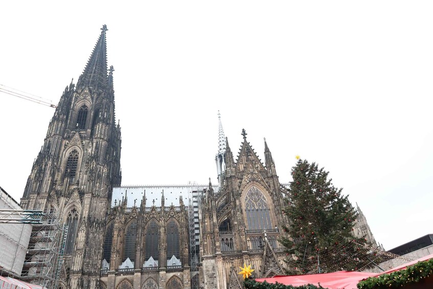 From Amsterdam: Cologne in Germany Day Tour