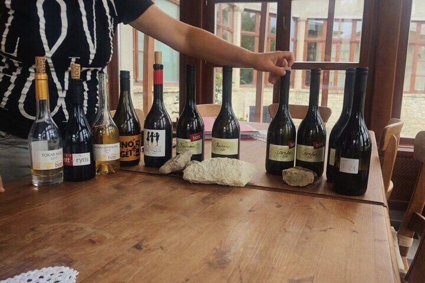  Wine Tasting Tour in Tokaj Wine Region Slovakia