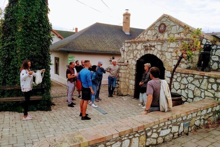  Wine Tasting Tour in Tokaj Wine Region Slovakia