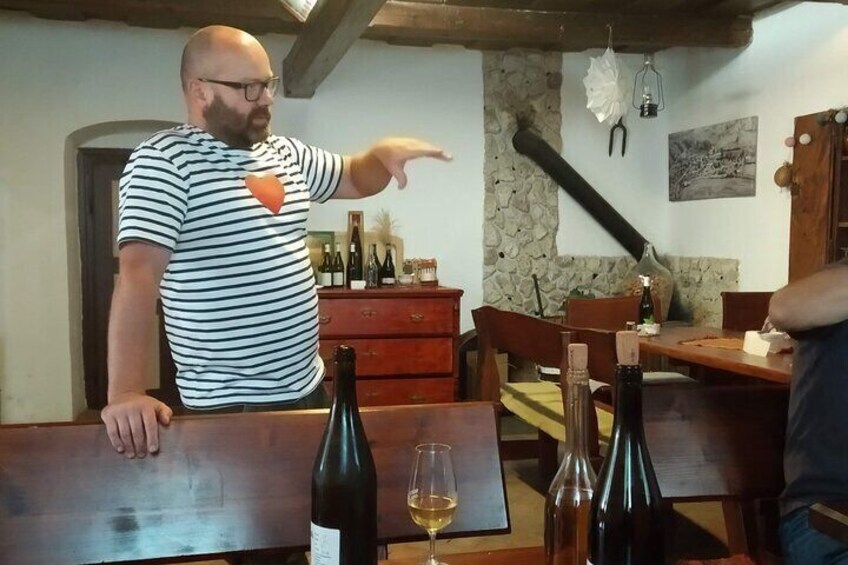  Wine Tasting Tour in Tokaj Wine Region Slovakia