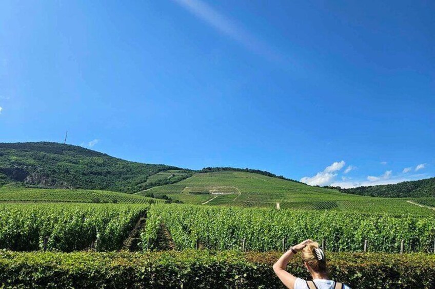  Wine Tasting Tour in Tokaj Wine Region Slovakia. With transport