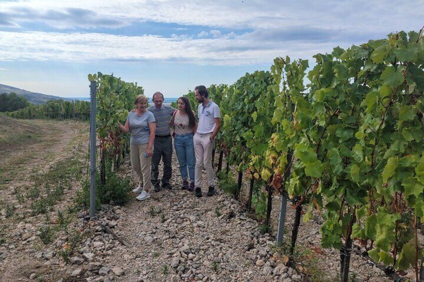  Wine Tasting Tour in Tokaj Wine Region Slovakia