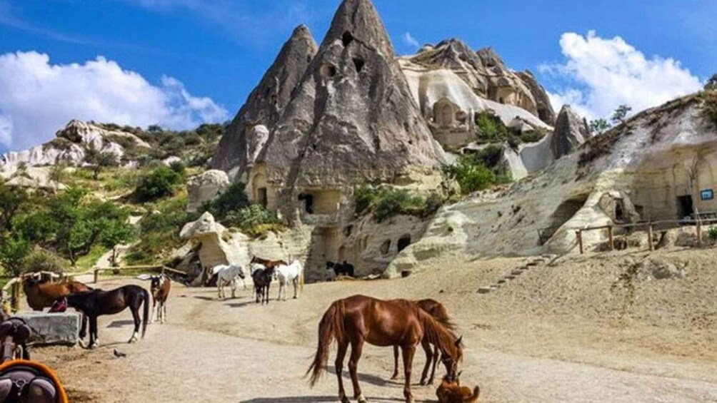 Picture 1 for Activity Cappadocia:Horse Tour