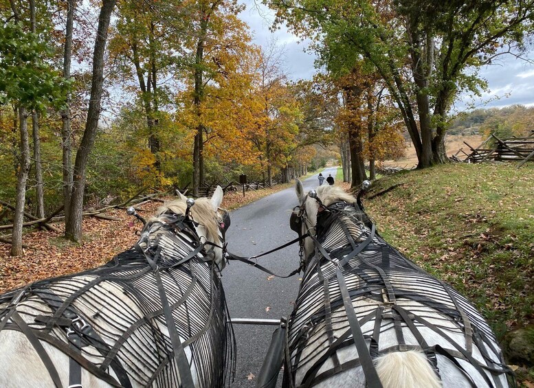 Picture 1 for Activity Gettysburg: Culp's Hill Guided Horse Carriage Tour