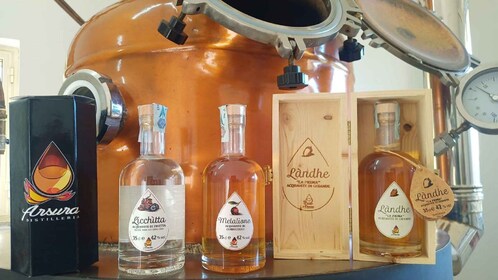 Tempio Pausania : Visite d'un atelier de distillation avec dégustation