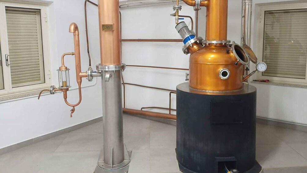 Picture 8 for Activity Tempio Pausania: Visit a Distillates Workshop with Tasting