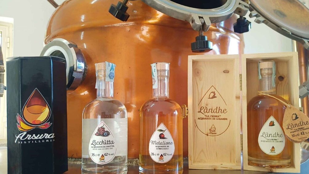 Tempio Pausania: Visit a Distillates Workshop with Tasting