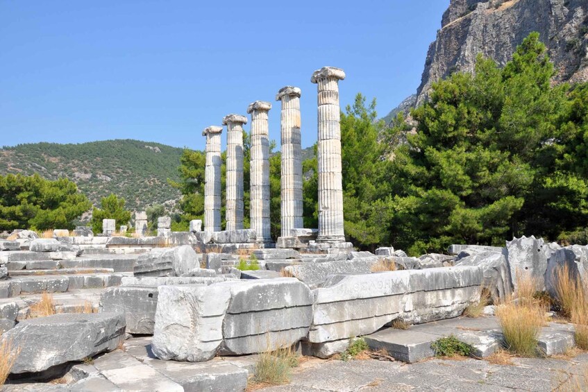 Picture 3 for Activity Priene Miletus Didyma Tour