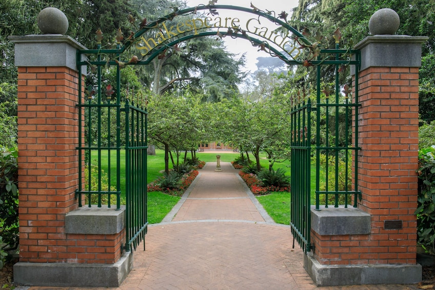 Golden Gate Park Tour With California Academy of Sciences Ticket