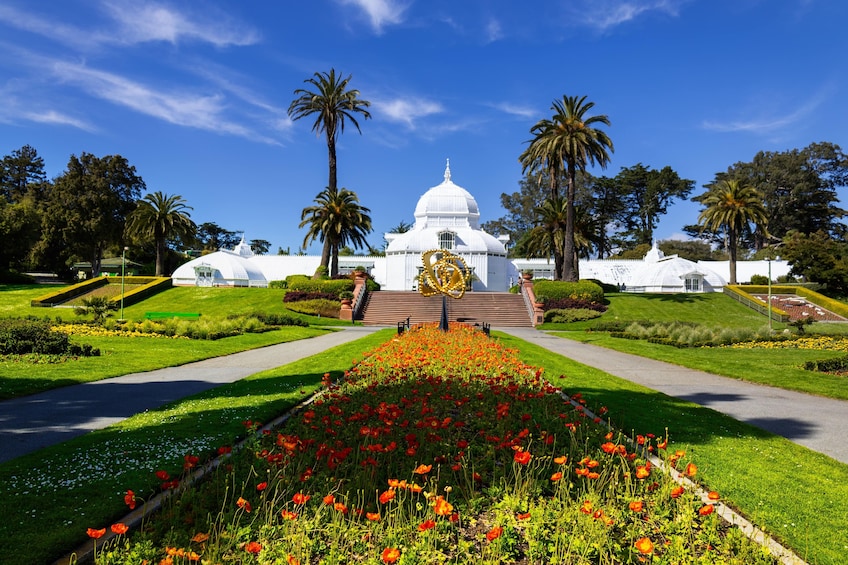 Golden Gate Park Tour With California Academy of Sciences Ticket