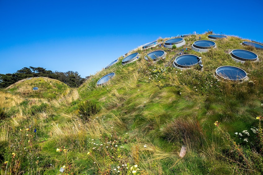 Golden Gate Park Tour With California Academy of Sciences Ticket