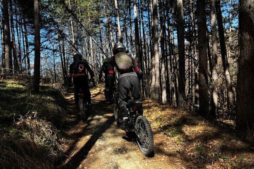 The route offers a variety of terrains, such as deciduous and pine forests