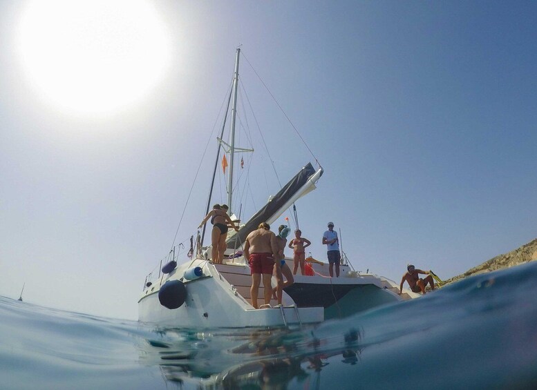 Picture 45 for Activity From Stintino: Catamaran tour to Asinara Island