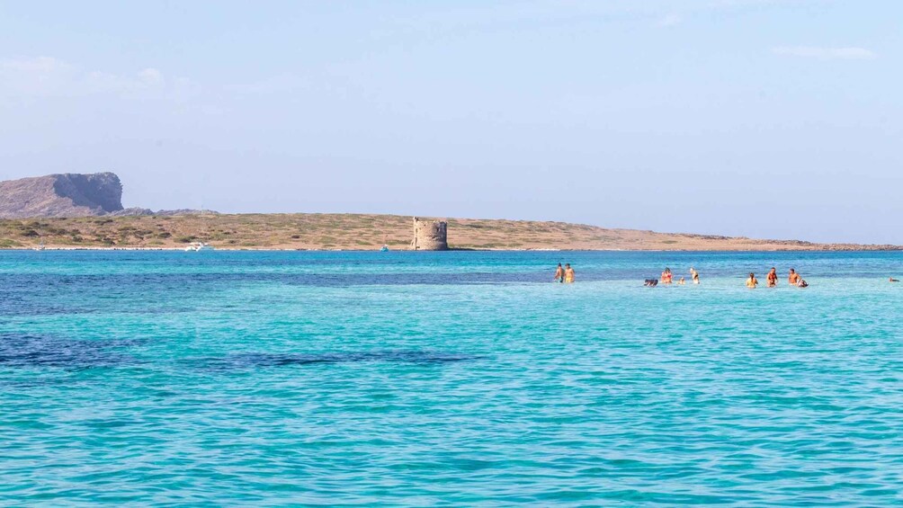 Picture 14 for Activity From Stintino: Catamaran tour to Asinara Island