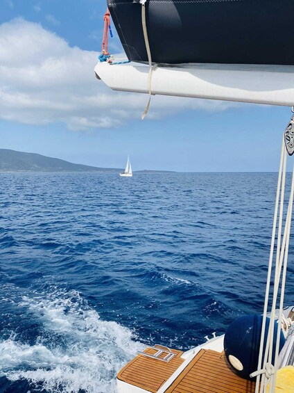 Picture 38 for Activity From Stintino: Catamaran tour to Asinara Island