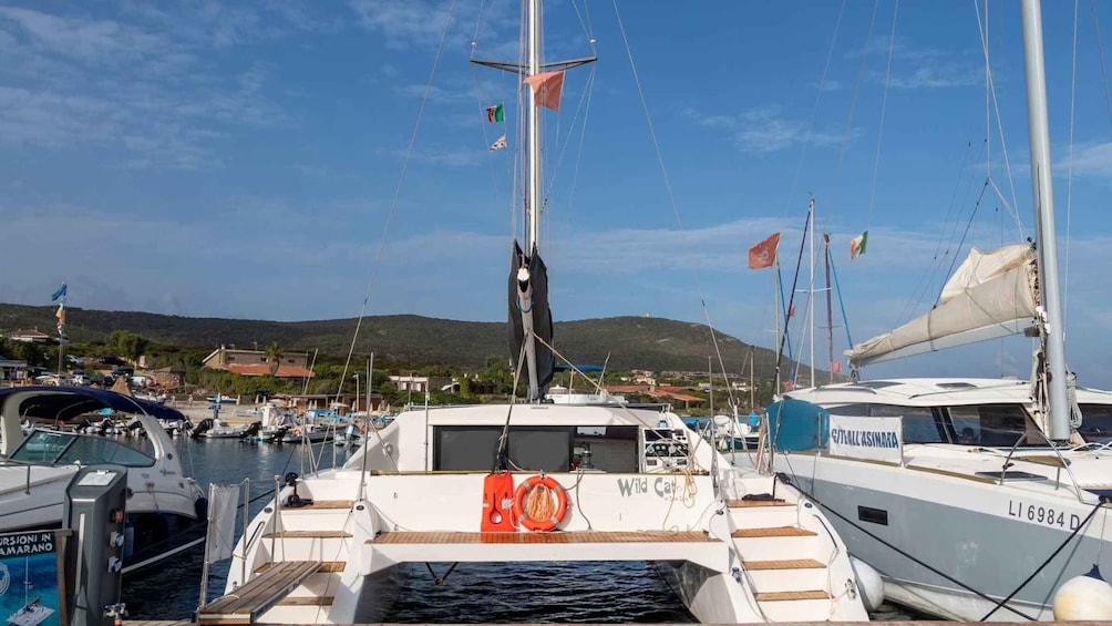 Picture 1 for Activity From Stintino: Catamaran tour to Asinara Island