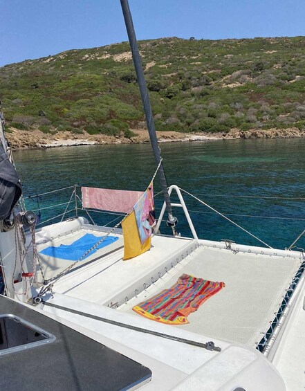 Picture 35 for Activity From Stintino: Catamaran tour to Asinara Island