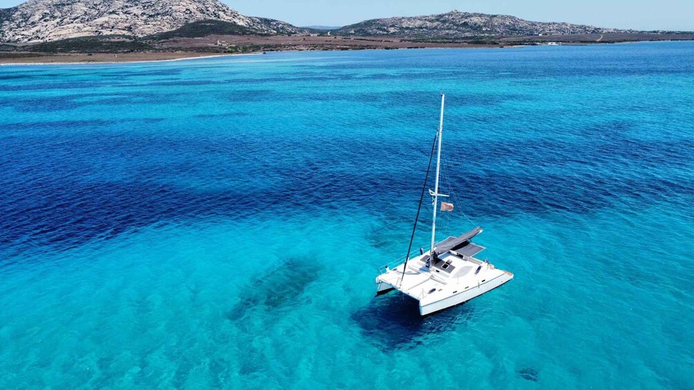 From Stintino: Catamaran tour to Asinara Island