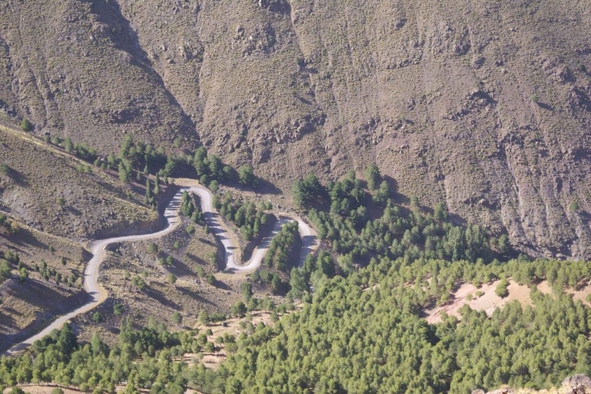 Picture 8 for Activity Full day hike in the Atlas Mountains with pack lunch