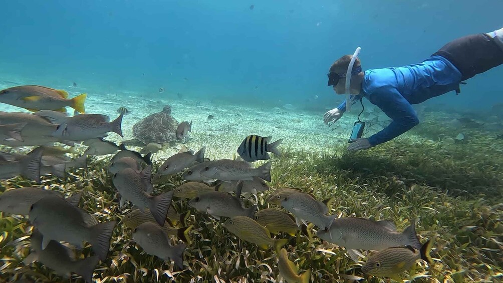Picture 5 for Activity Cozumel, El Cielo: 4-Hour Private Tour