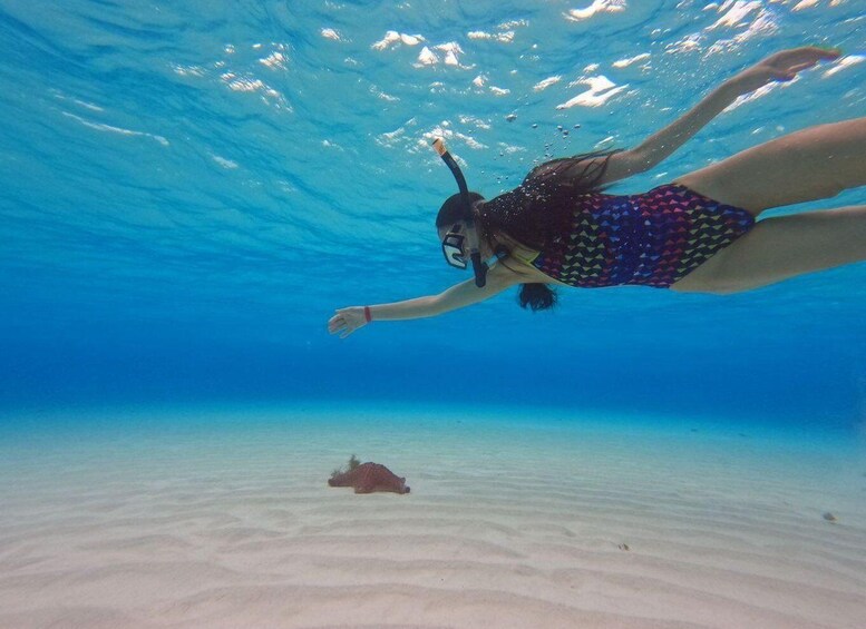 Picture 8 for Activity Cozumel, El Cielo: 4-Hour Private Tour