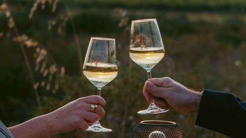 Castelsardo : visite d'un vignoble au coucher du soleil avec dégustation