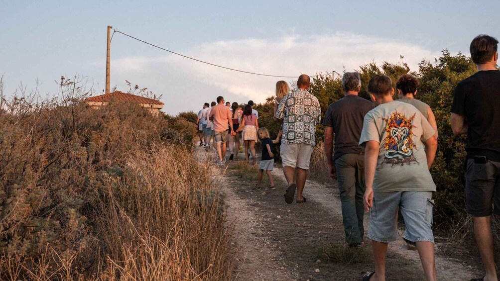 Picture 5 for Activity Castelsardo: Sunset visit to a Vineyard with Tasting