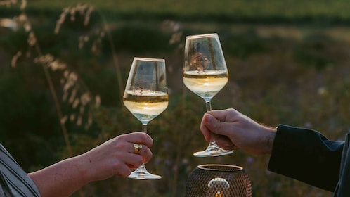 Castelsardo: visita al atardecer a un viñedo con degustación