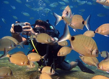 Fethiye: Ölüdeniz Scuba Diving Tour