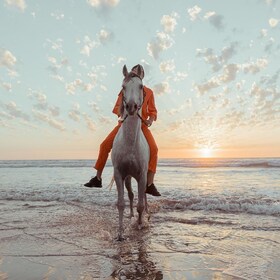 Antalya: Lara Beach & Forrest Horse Riding Safari