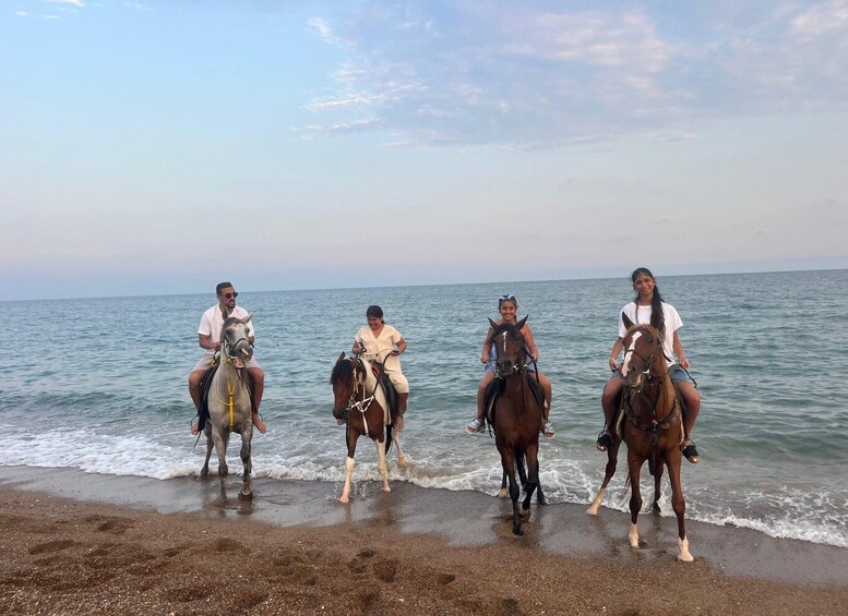 Picture 12 for Activity Antalya: Lara Beach & Forrest Horse Riding Safari