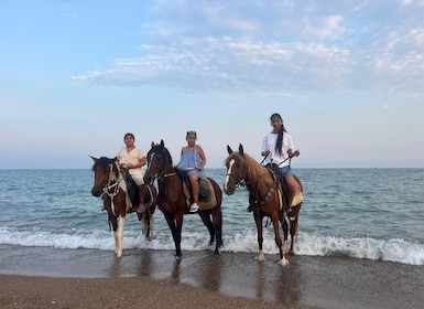 Antalya: Lara Beach & Forrest Horse Riding Safari