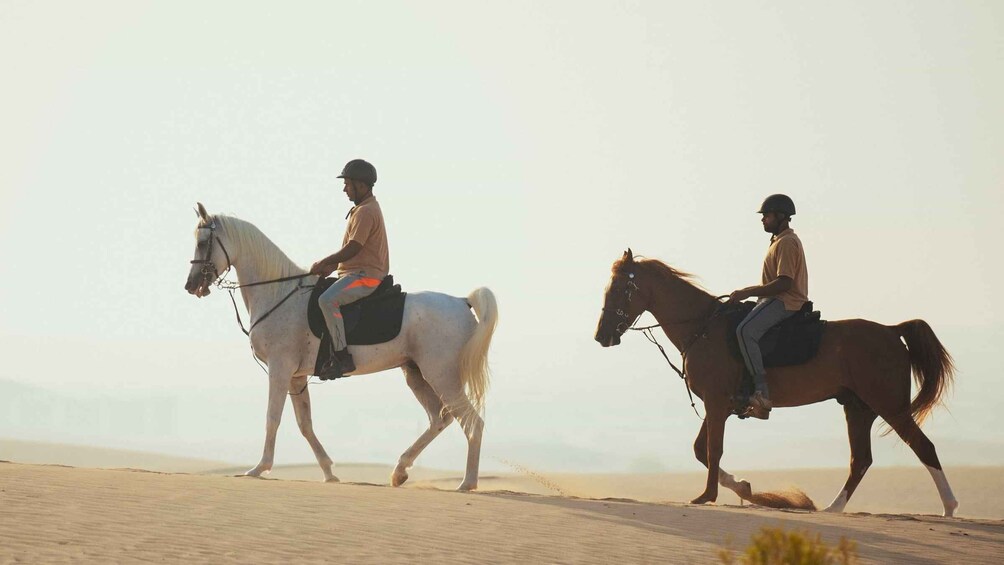 Picture 7 for Activity Antalya: Lara Beach & Forrest Horse Riding Safari