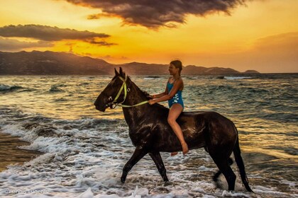 Antalya: Lara Beach & Forrest Horse Riding Safari