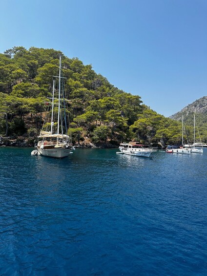 Picture 5 for Activity Gocek: Yacht Trip and 12 Island Full-Day Tour with Lunch