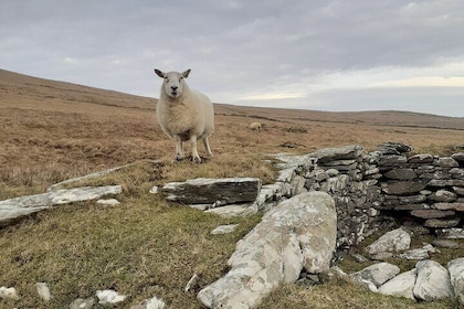 Historical Walking Tours in Valentia and the Skellig Region