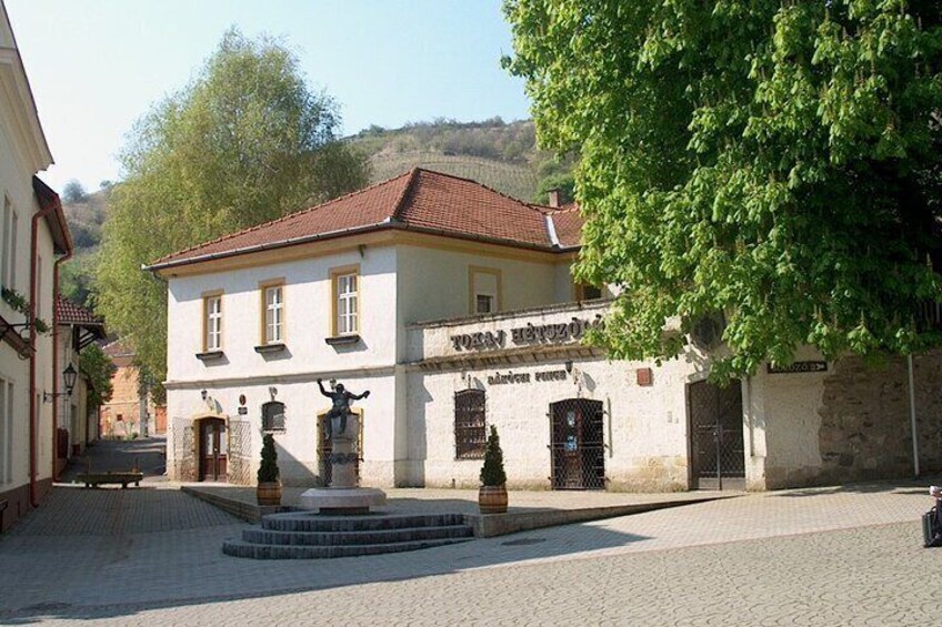 2 day luxury wellness boat trip in Tokaj with wine tasting 