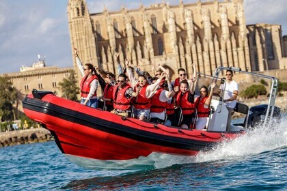 Palma City: 75min Speedboat Sightseeing Adventure