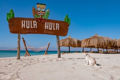 Hula Hula Island and Dolphin House with Snorkelling by Speedboat