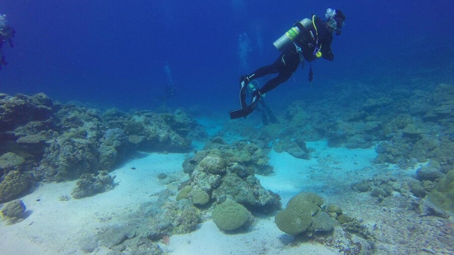 Alanya: 2 Guided Scuba Dives with Lunch and Hotel Transfers