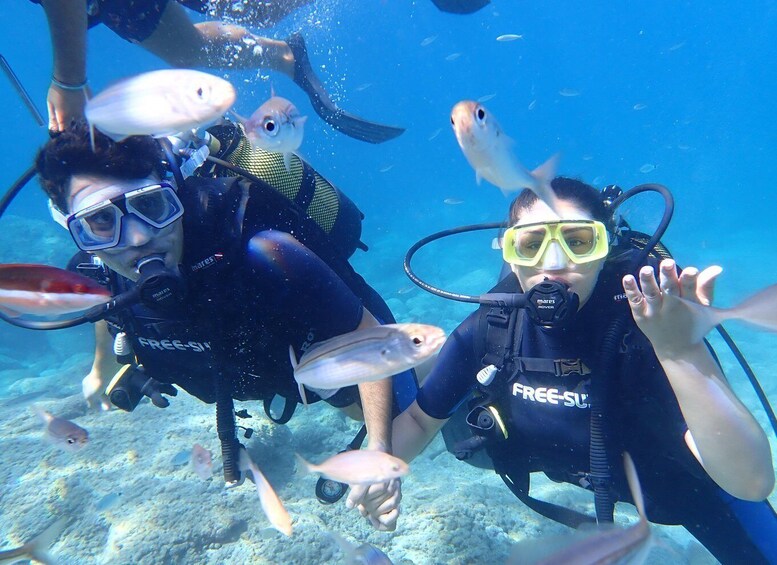 Picture 8 for Activity Alanya: 2 Guided Scuba Dives with Lunch and Hotel Transfers