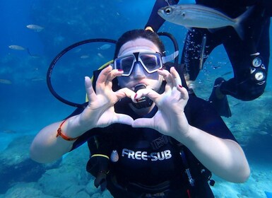 Alanya: 2 Guided Scuba Dives with Lunch and Hotel Transfers