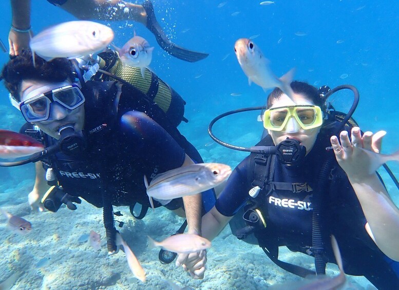 Picture 8 for Activity Alanya: 2 Guided Scuba Dives with Lunch and Hotel Transfers