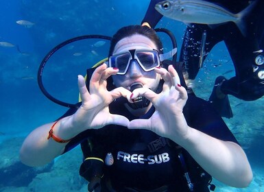 Alanya: 2 Guided Scuba Dives with Lunch and Hotel Transfers