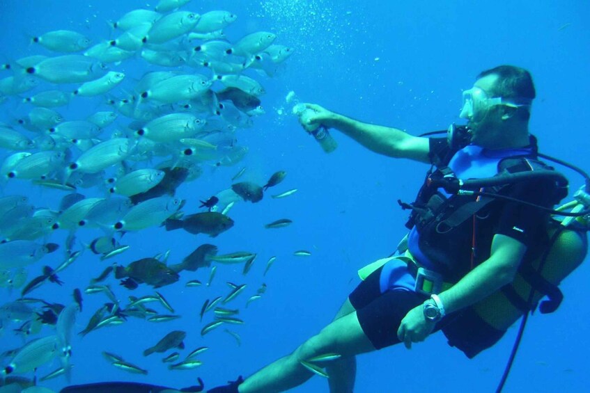 Picture 5 for Activity Alanya: Discover Scuba Diving Scuba Tour for Beginners